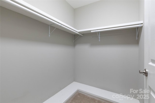 210 State St, Asheville, NC 28806 - view of spacious closet