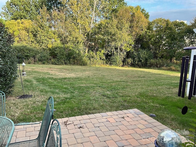 view of yard with a patio area