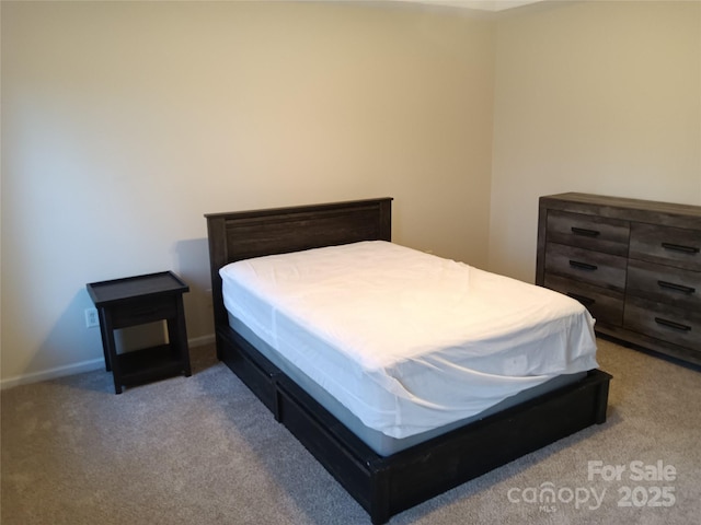 1331 Copper Creek Ln, Fort Mill, SC 29715 - view of carpeted bedroom