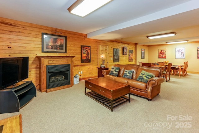 living room with wooden walls and carpet flooring