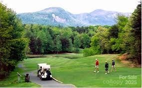 view of community with a mountain view and a yard