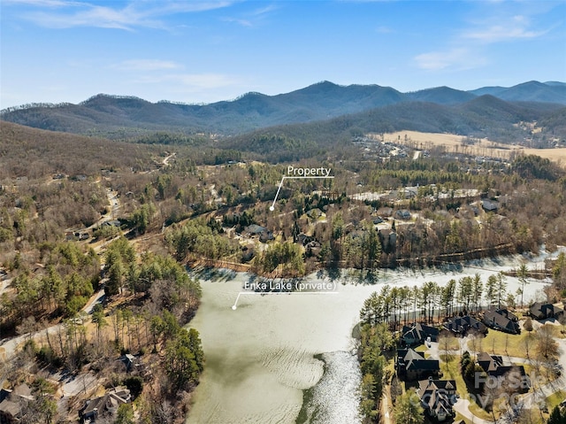 birds eye view of property featuring a water and mountain view