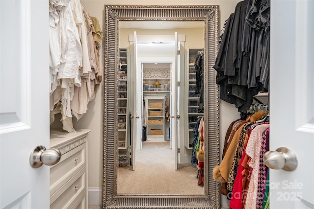 walk in closet with carpet