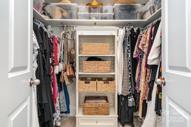 view of spacious closet