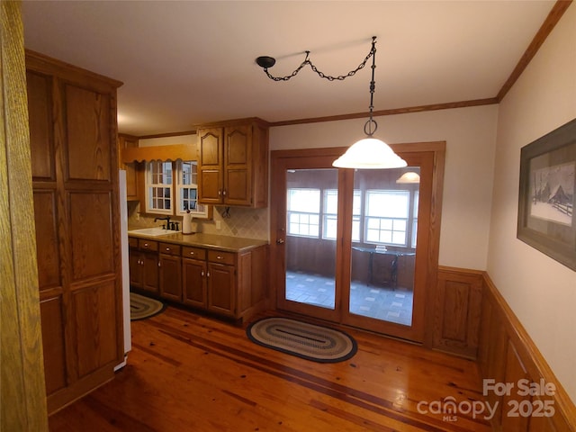 kitchen with ornamental molding, pendant lighting, dark wood-type flooring, and sink