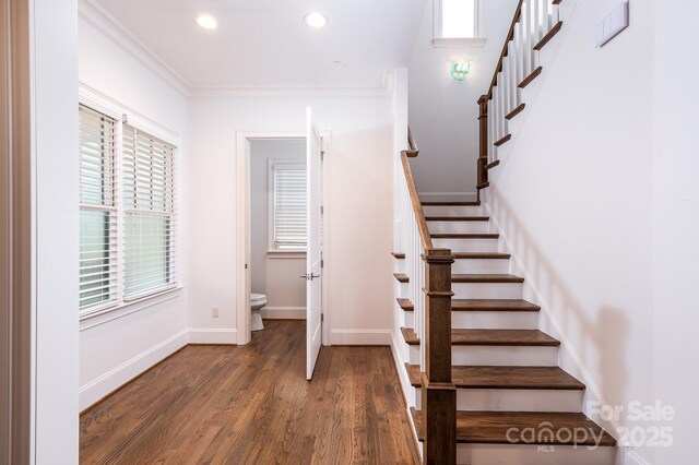 stairs featuring crown molding and wood-type flooring