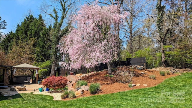 view of yard featuring a gazebo