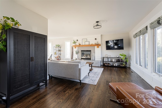 living room featuring dark hardwood / wood-style floors