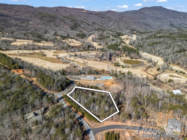 2002 Deep Gap Farm Rd E, Mill Spring NC, 28756 land for sale