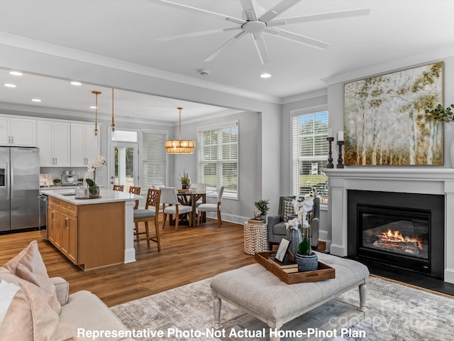 living room featuring ceiling fan, ornamental molding, and light hardwood / wood-style floors