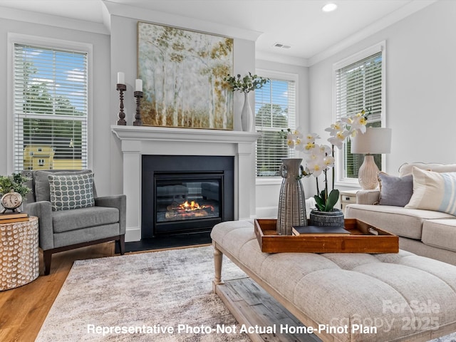 living room with hardwood / wood-style flooring and ornamental molding