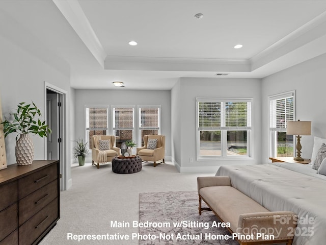 carpeted bedroom featuring crown molding and a raised ceiling