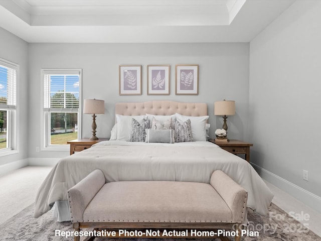 carpeted bedroom with a raised ceiling