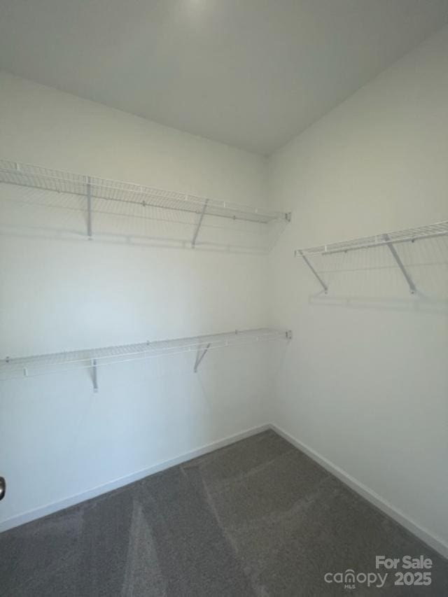 spacious closet with carpet flooring