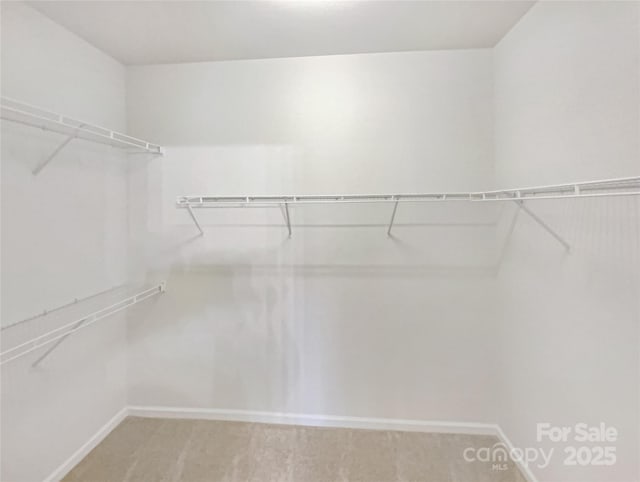 view of spacious closet