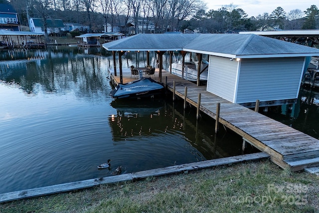 dock area with a water view