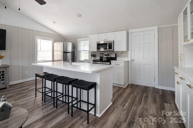 kitchen featuring sink, a kitchen island with sink, white cabinetry, and stainless steel appliances