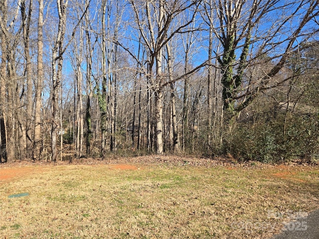 Listing photo 2 for 136 Walking Horse Run Unit 19, Stanley NC 28164