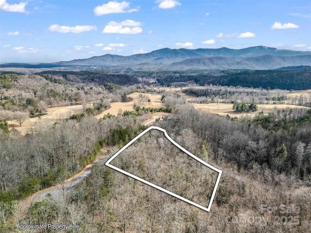 LOT136 Deep Gap Farm Rd E, Mill Spring NC, 28756 land for sale