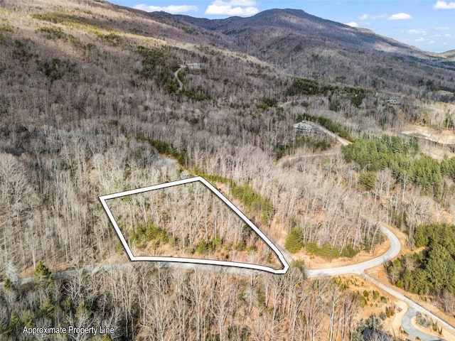 Listing photo 2 for LOT136 Deep Gap Farm Rd E, Mill Spring NC 28756