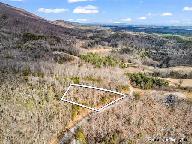 Listing photo 3 for LOT136 Deep Gap Farm Rd E, Mill Spring NC 28756