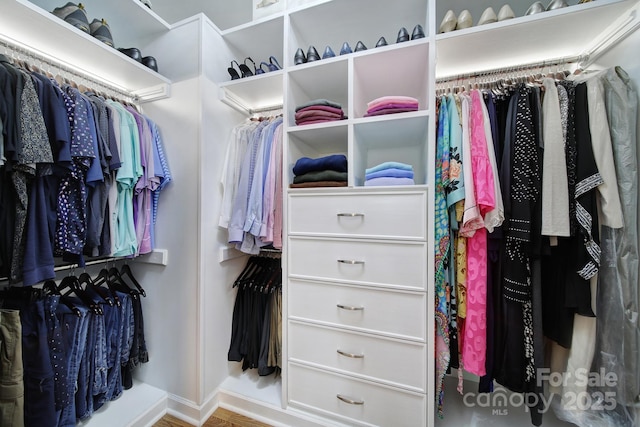 view of walk in closet