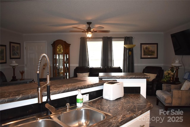 kitchen featuring ceiling fan, ornamental molding, and sink