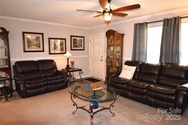 living room with a textured ceiling, ceiling fan, ornamental molding, and carpet floors
