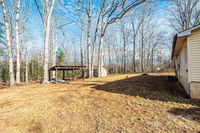 view of yard with a storage unit