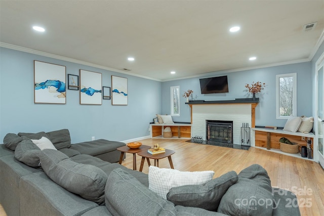 living room with crown molding and wood-type flooring