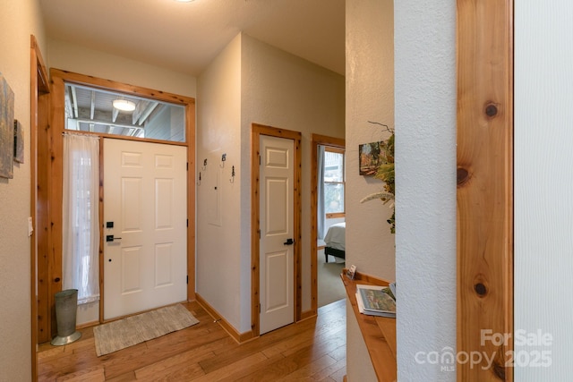 foyer featuring light hardwood / wood-style flooring