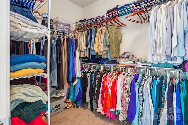 spacious closet featuring carpet flooring