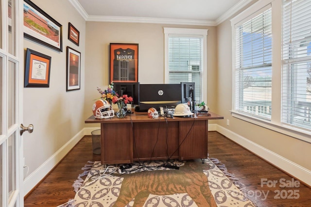 office featuring crown molding and dark hardwood / wood-style floors