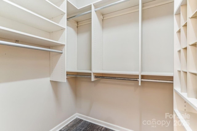 walk in closet featuring hardwood / wood-style flooring