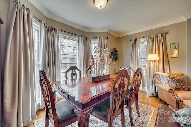 dining room with crown molding, light hardwood / wood-style floors, and a textured ceiling