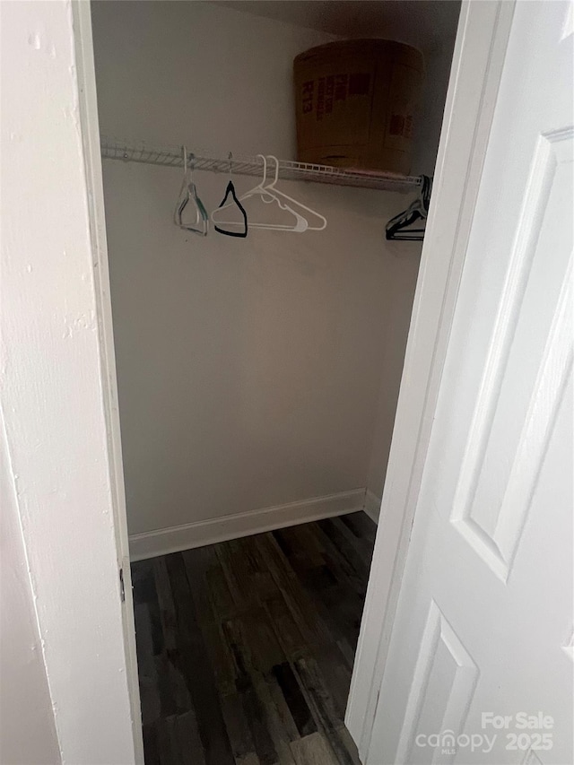 spacious closet featuring dark wood-type flooring