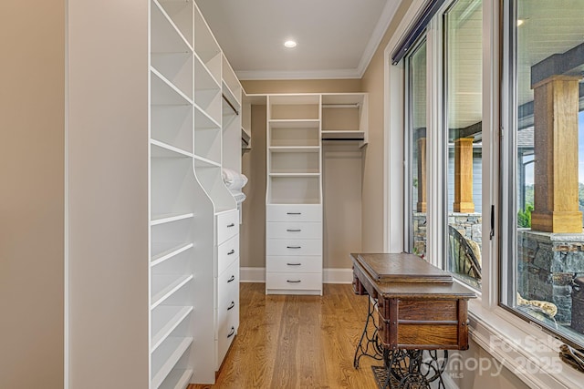 spacious closet with wood-type flooring