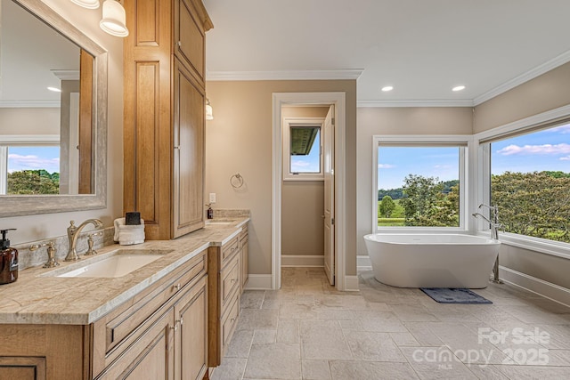 bathroom featuring a washtub, vanity, and crown molding