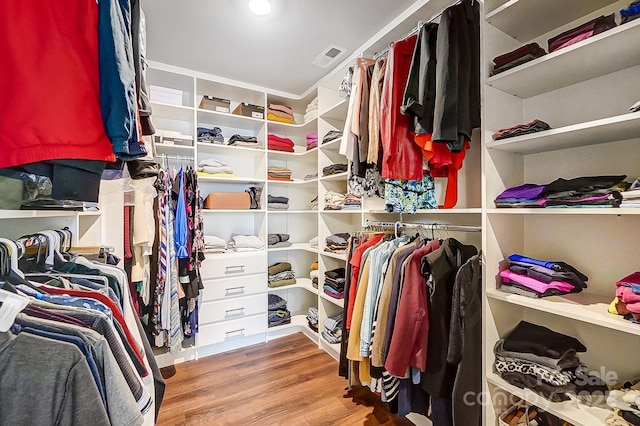 spacious closet with wood finished floors and visible vents