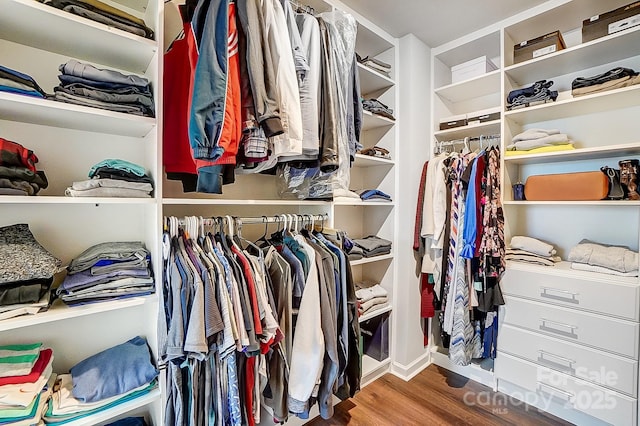 walk in closet with wood finished floors