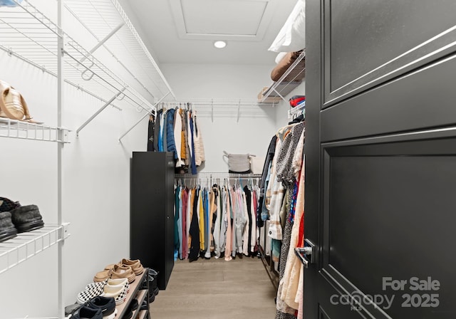 walk in closet featuring light wood-type flooring