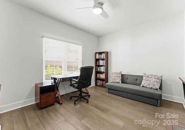 office space with light hardwood / wood-style floors and ceiling fan