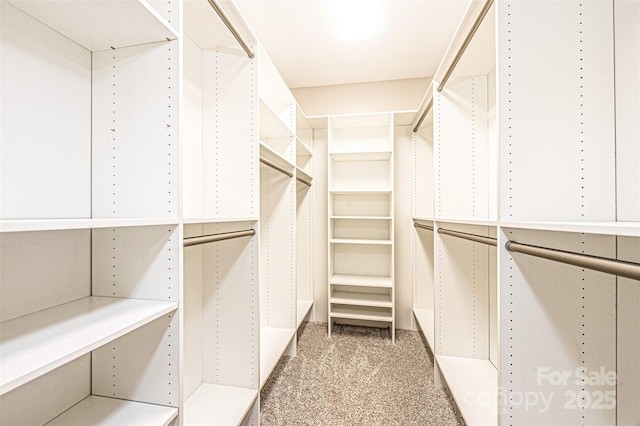 walk in closet with carpet flooring