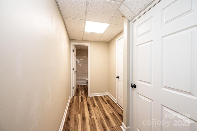 hallway with hardwood / wood-style flooring and a drop ceiling