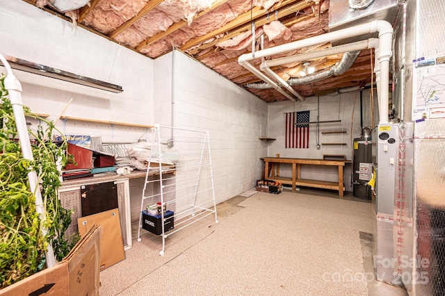 basement featuring a workshop area and water heater