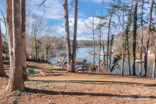 view of yard featuring a water view and a boat dock