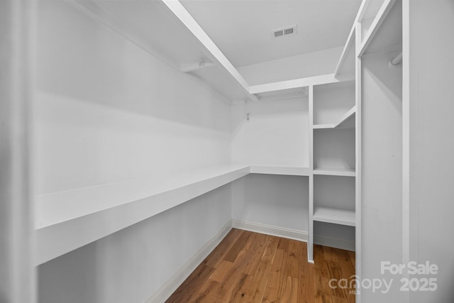 walk in closet with hardwood / wood-style flooring