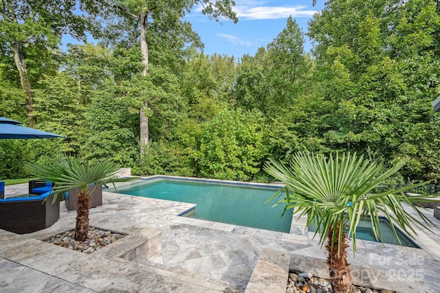 view of swimming pool with a patio