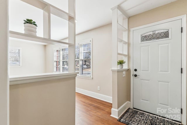 foyer with wood-type flooring