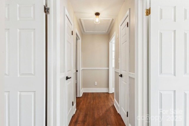 hallway featuring dark hardwood / wood-style flooring